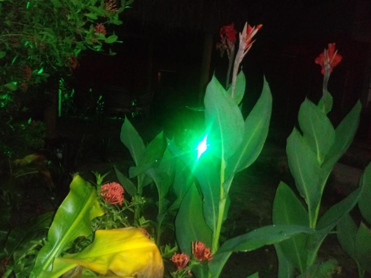 Pousada Luar De Monte Cristo Araripe de Baixo エクステリア 写真